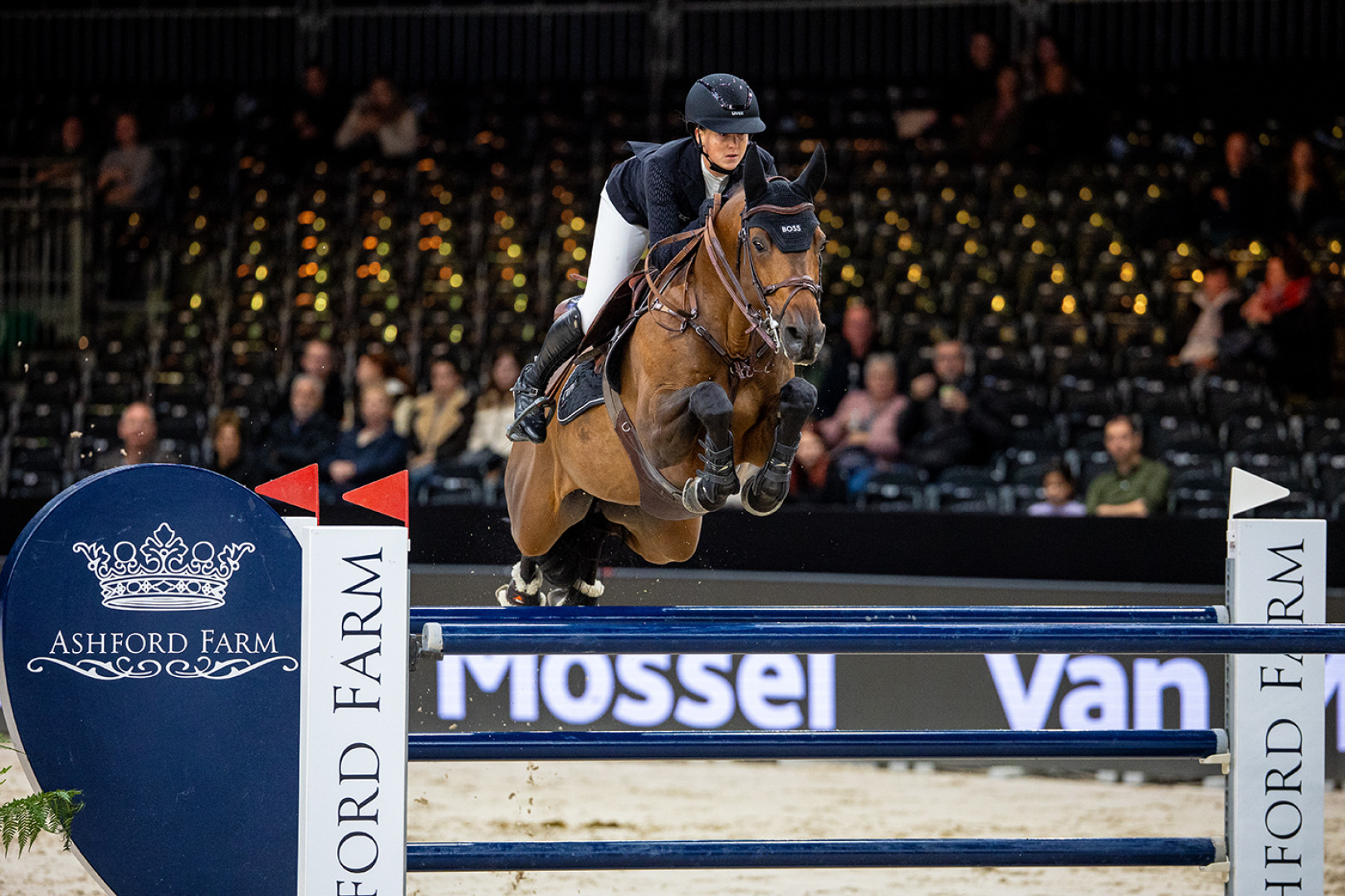 HELLIX DU SEIGNEUR Jumping Indoor Maastricht