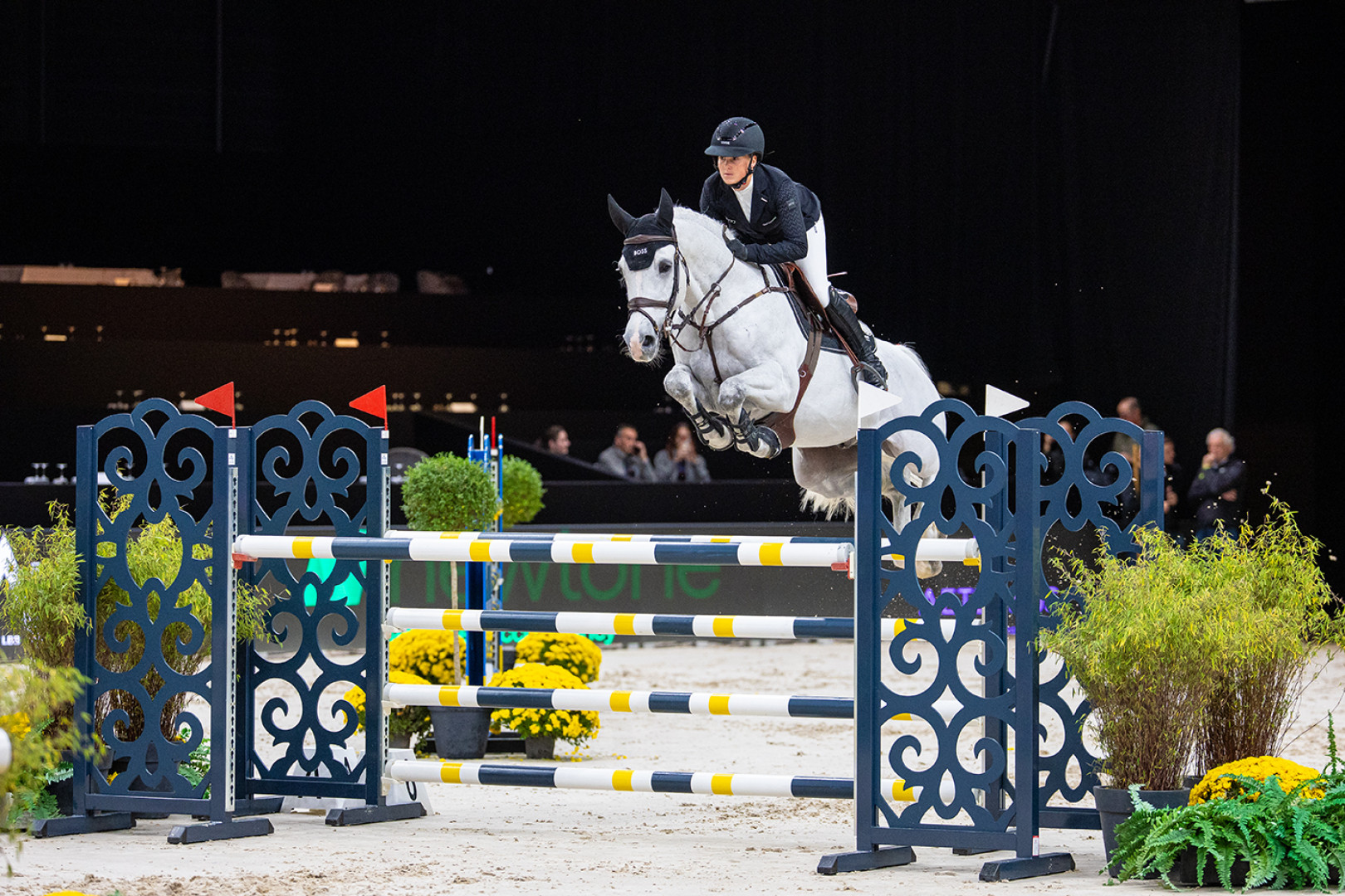 Lavantus-C Jumping Indoor Maastricht